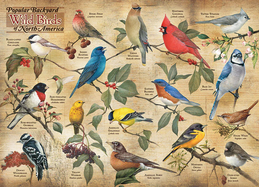 Popular Backyard Wild Birds of North America 1000 Piece Jigsaw Puzzle