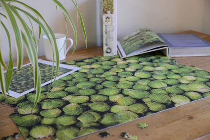 Brussels Sprouts - Impuzzible No. 28 - 1000 Piece Jigsaw Puzzle