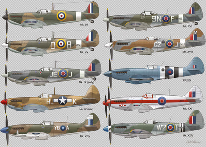 Spitfire 1000 Piece Jigsaw Puzzle
