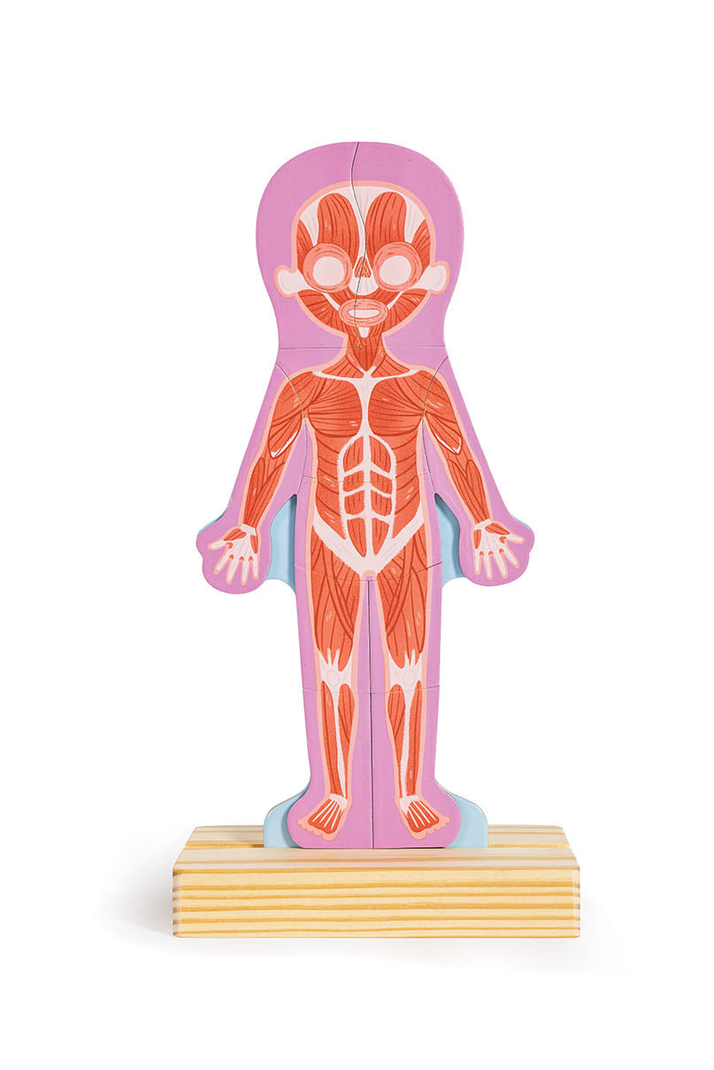 Human Body Magnetic 68 Piece Jigsaw Puzzle