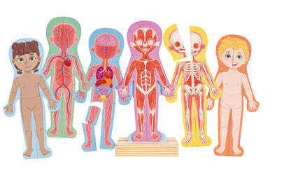Human Body Magnetic 68 Piece Jigsaw Puzzle