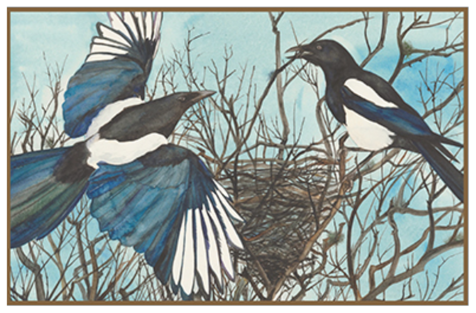 The Lost Words Magpies 1000 Piece Jigsaw Puzzle