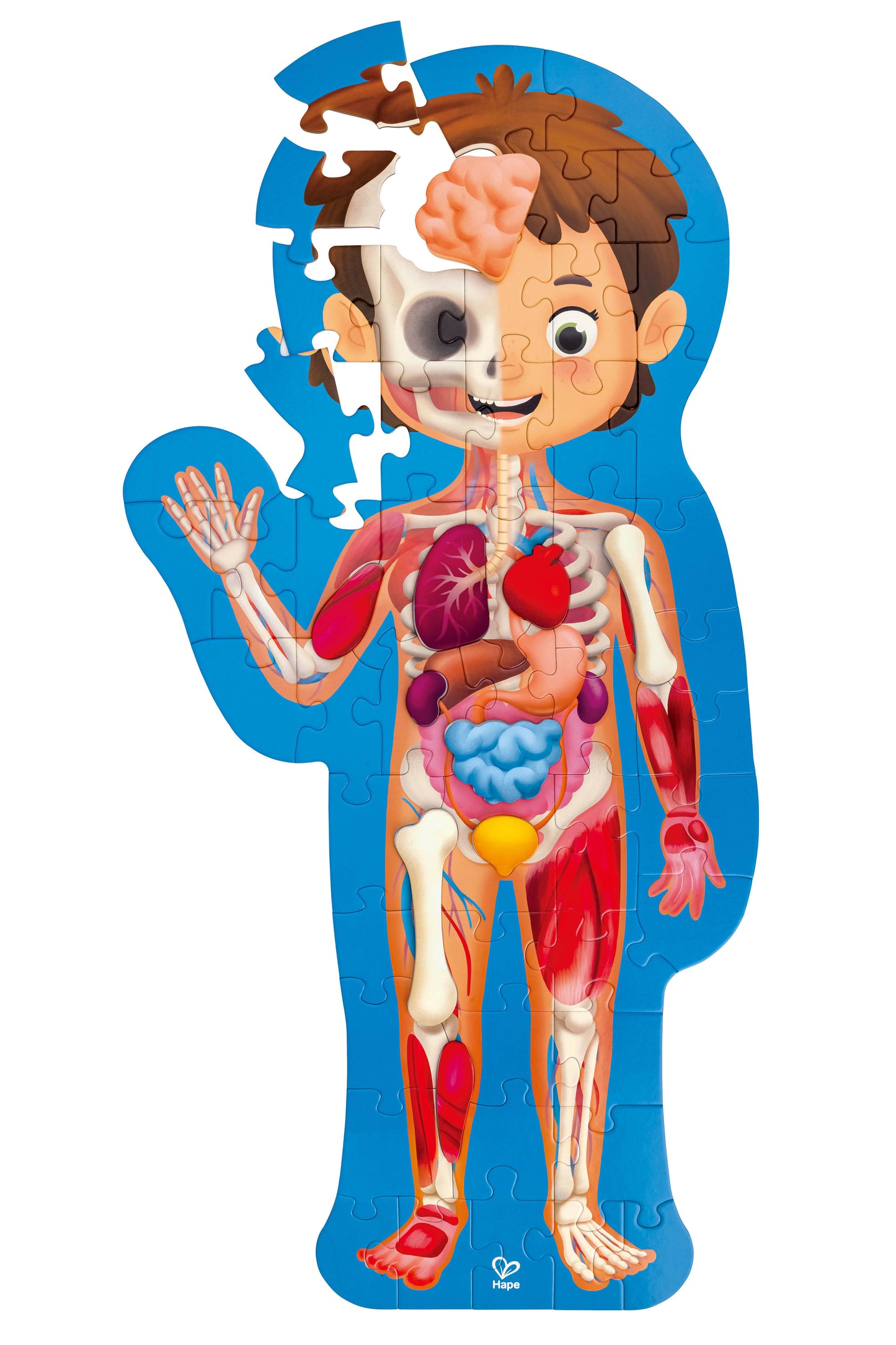 Human Body 50 Piece Jigsaw Puzzle