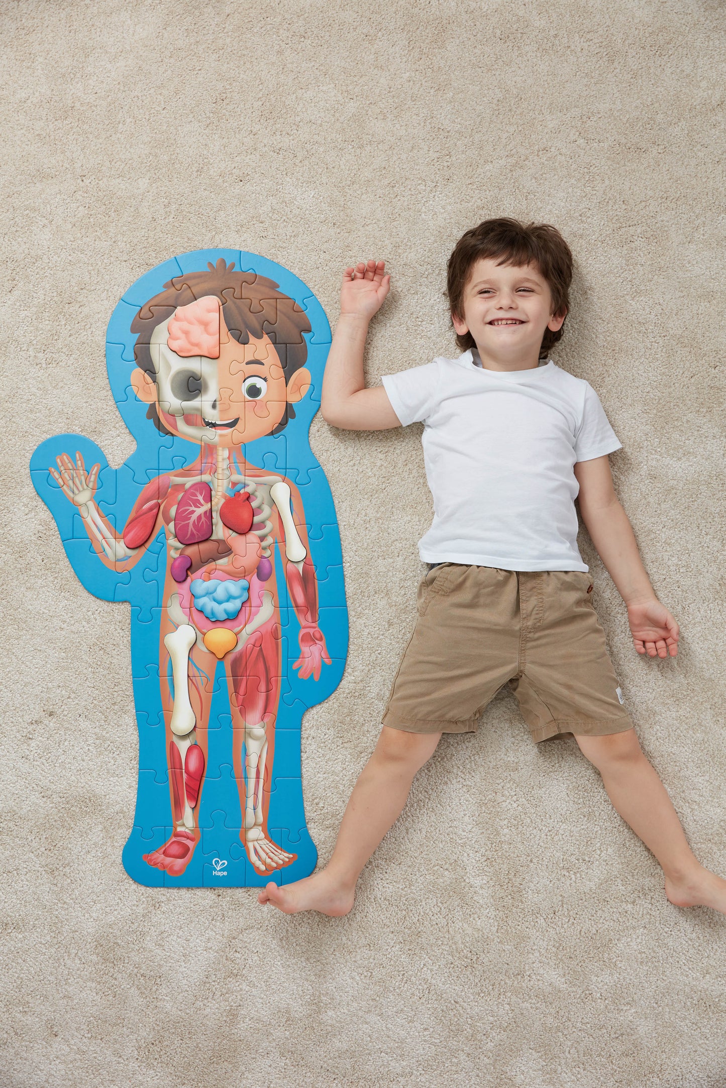 Human Body 50 Piece Jigsaw Puzzle