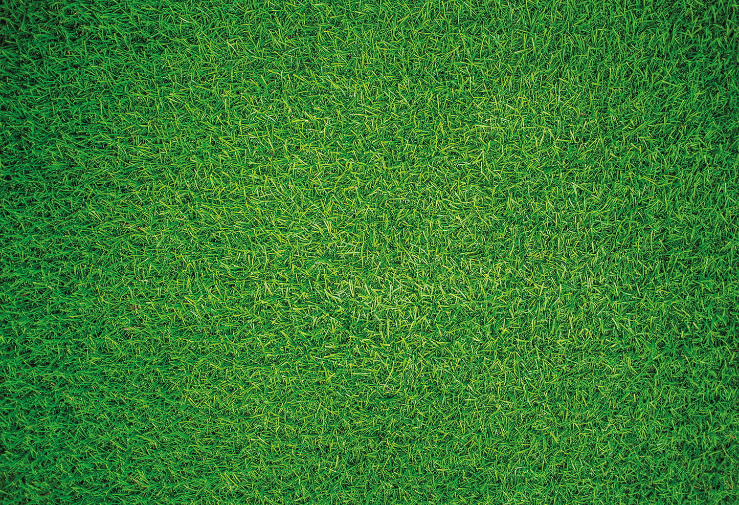Natural Grass - Impuzzible No.7 - 1000 or 500 Piece Jigsaw Puzzle