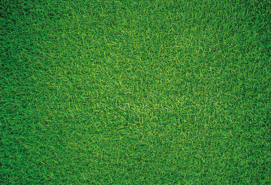 Natural Grass - Impuzzible No.7 - 1000 or 500 Piece Jigsaw Puzzle