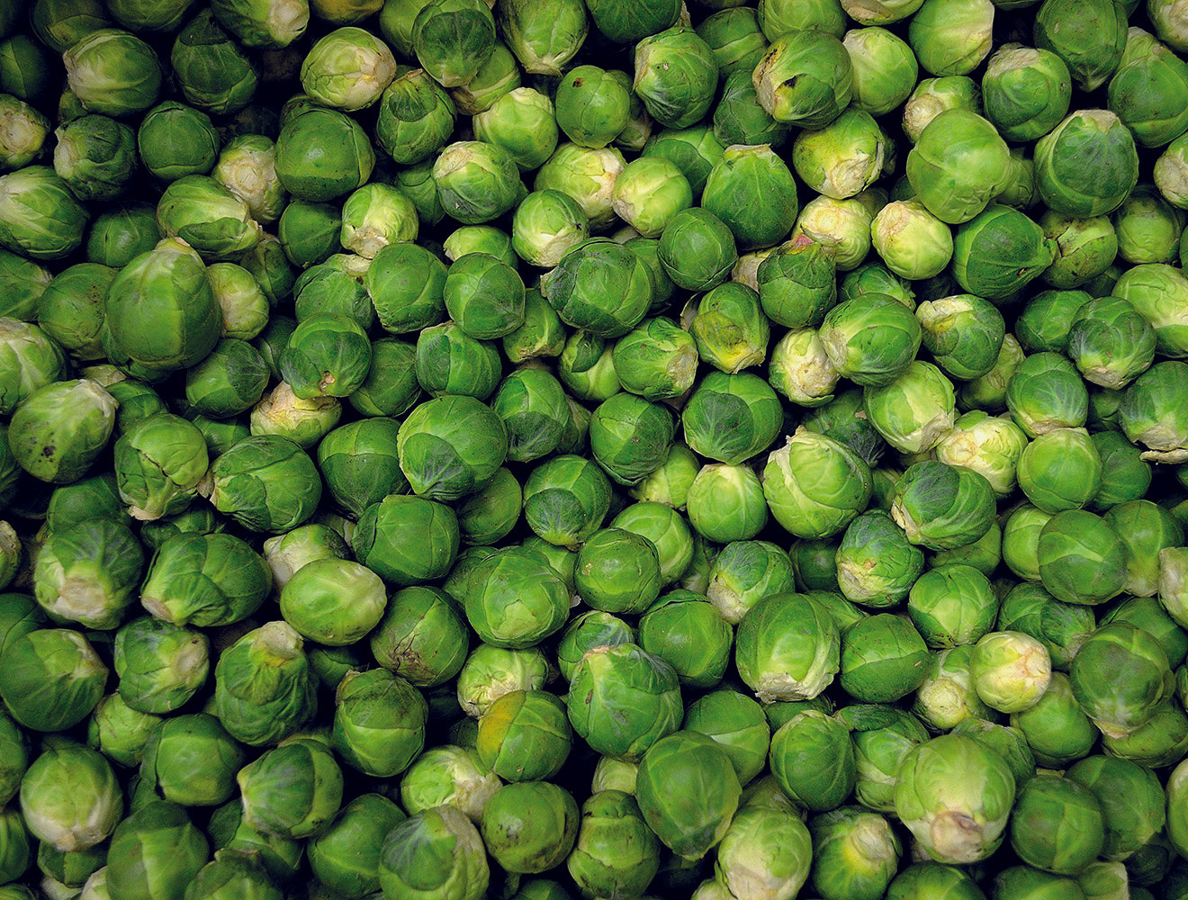 Brussels Sprouts - Impuzzible No. 28 - 1000 Piece Jigsaw Puzzle