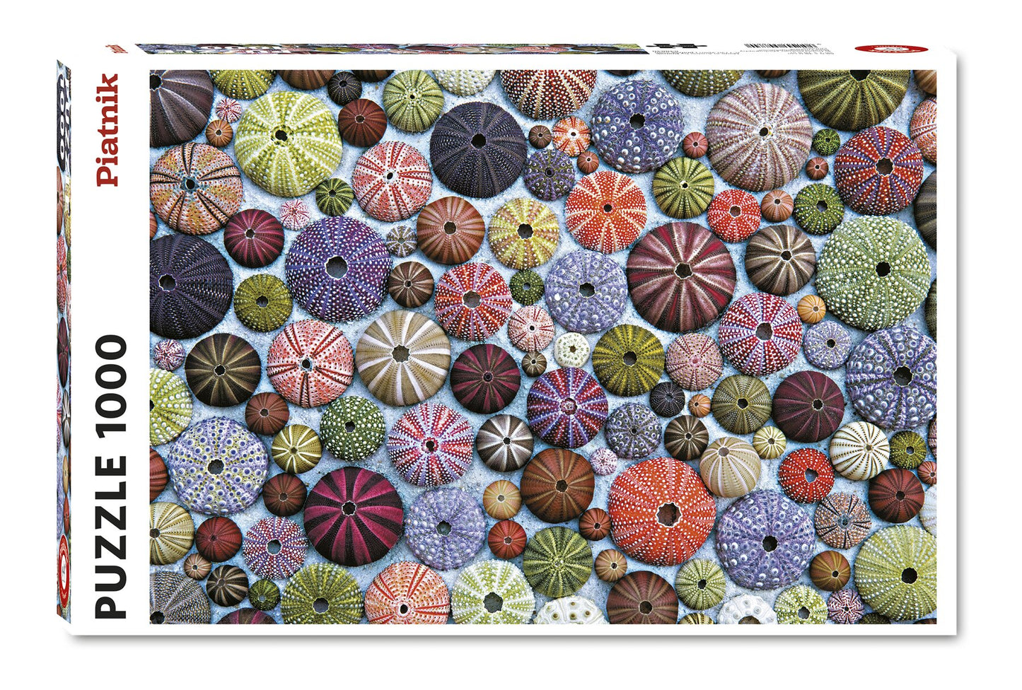 Sea Urchins 1000 Piece Jigsaw Puzzle