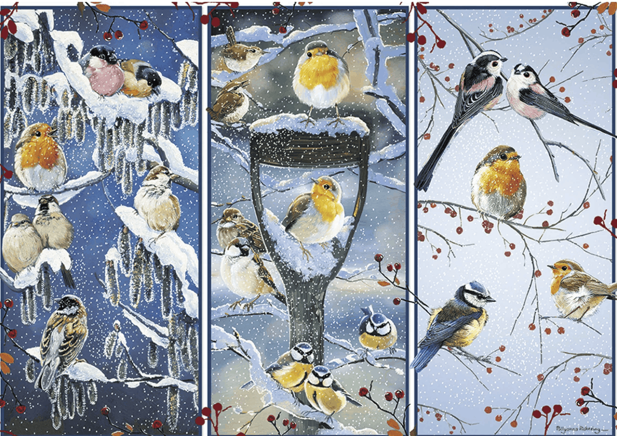Snowy Garden Birds 1000 Piece Jigsaw Puzzle